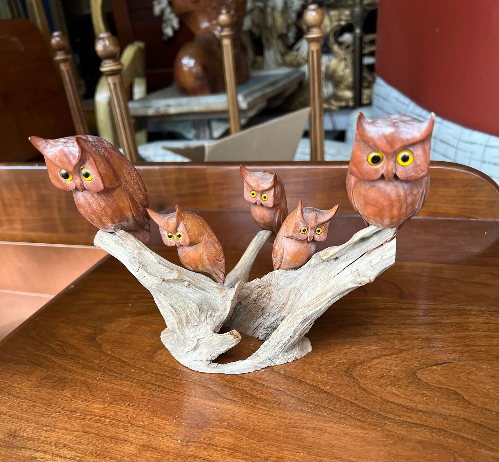 Mid 19th Century Gentry Owls on Driftwood - 2
