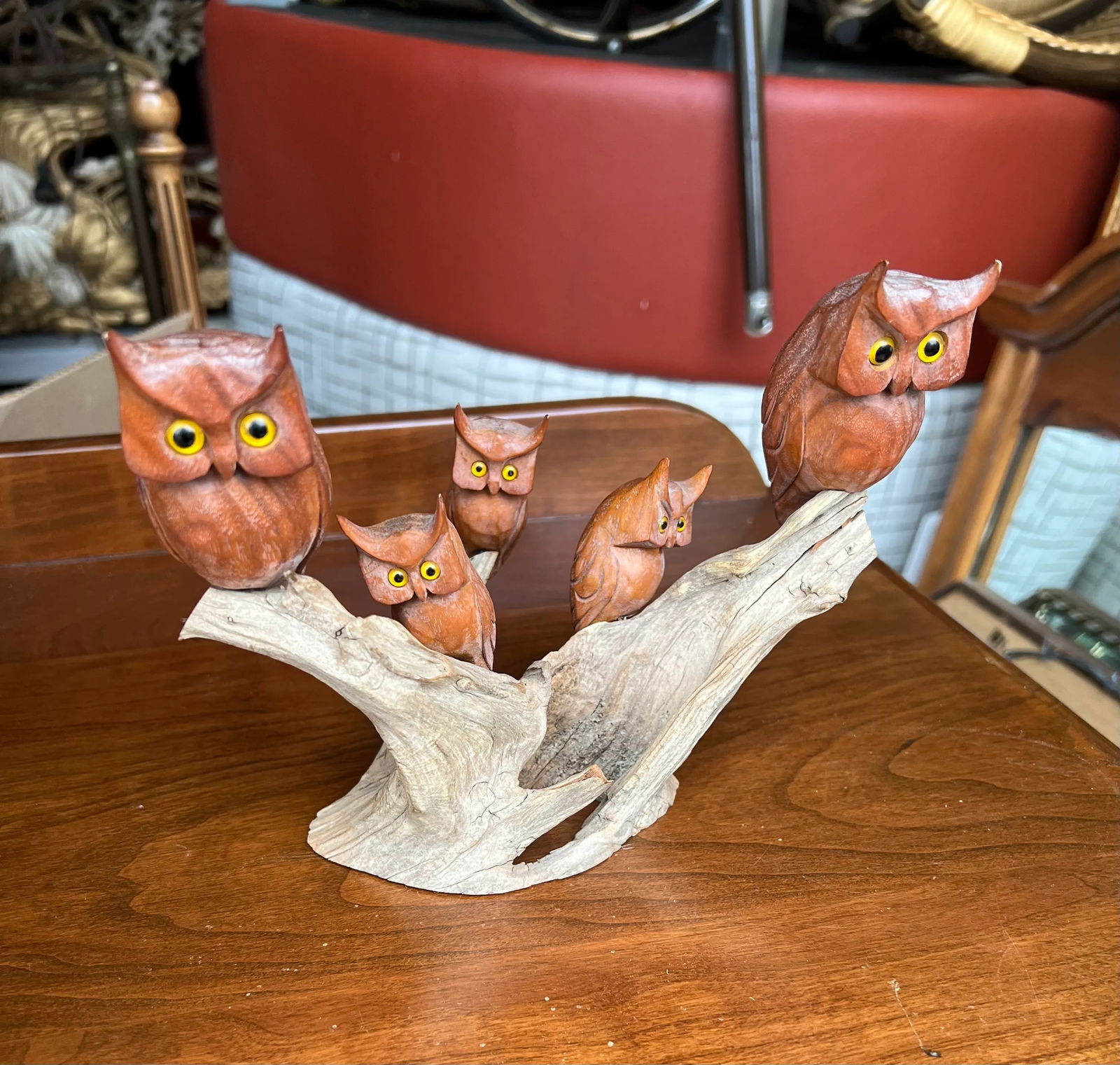 Mid 19th Century Gentry Owls on Driftwood - 3