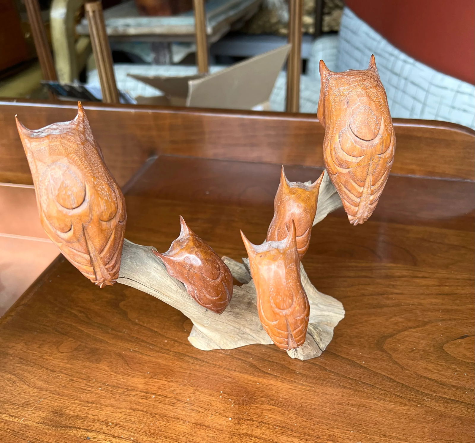 Mid 19th Century Gentry Owls on Driftwood - 4