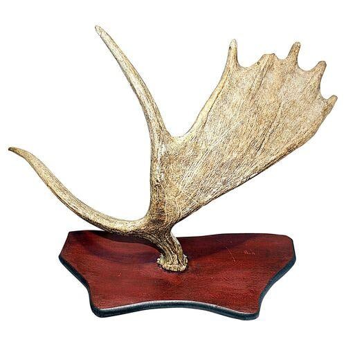 1980s Moose Antler Mount - 2