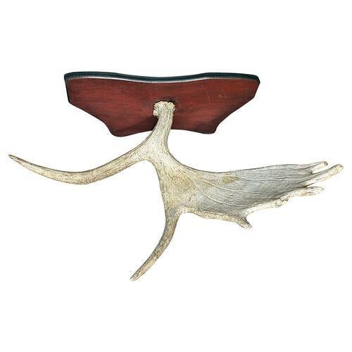 1980s Moose Antler Mount - 4