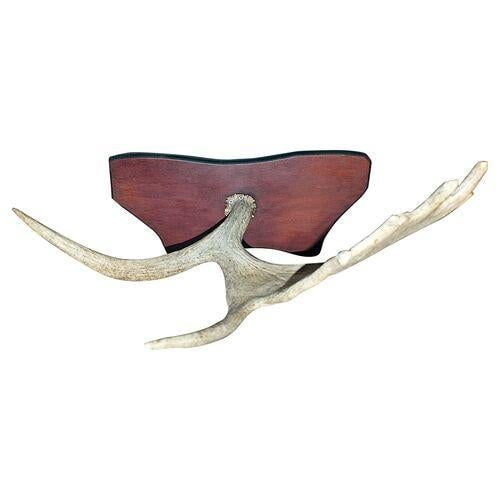 1980s Moose Antler Mount - 5