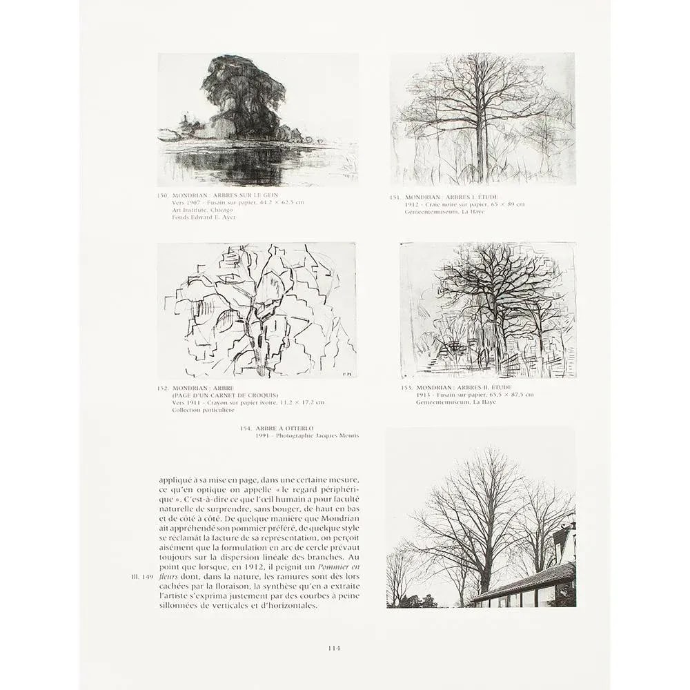 1991 After Piet Mondrian "The Blue Tree" & "The Flowering Apple Tree", Full-Color Parisian Print - 7