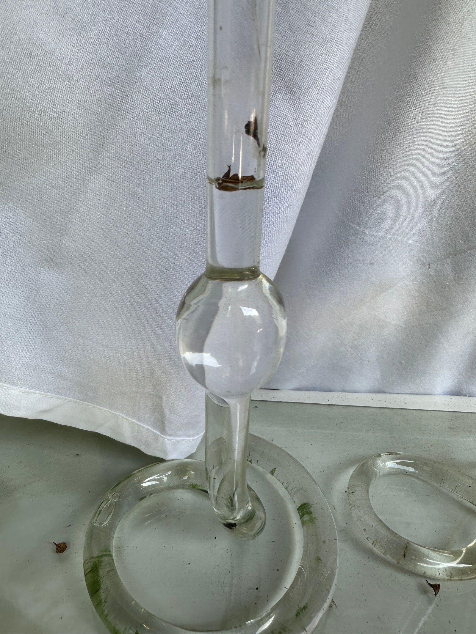 Vintage Propagation Snake Vases – a Pair - 3