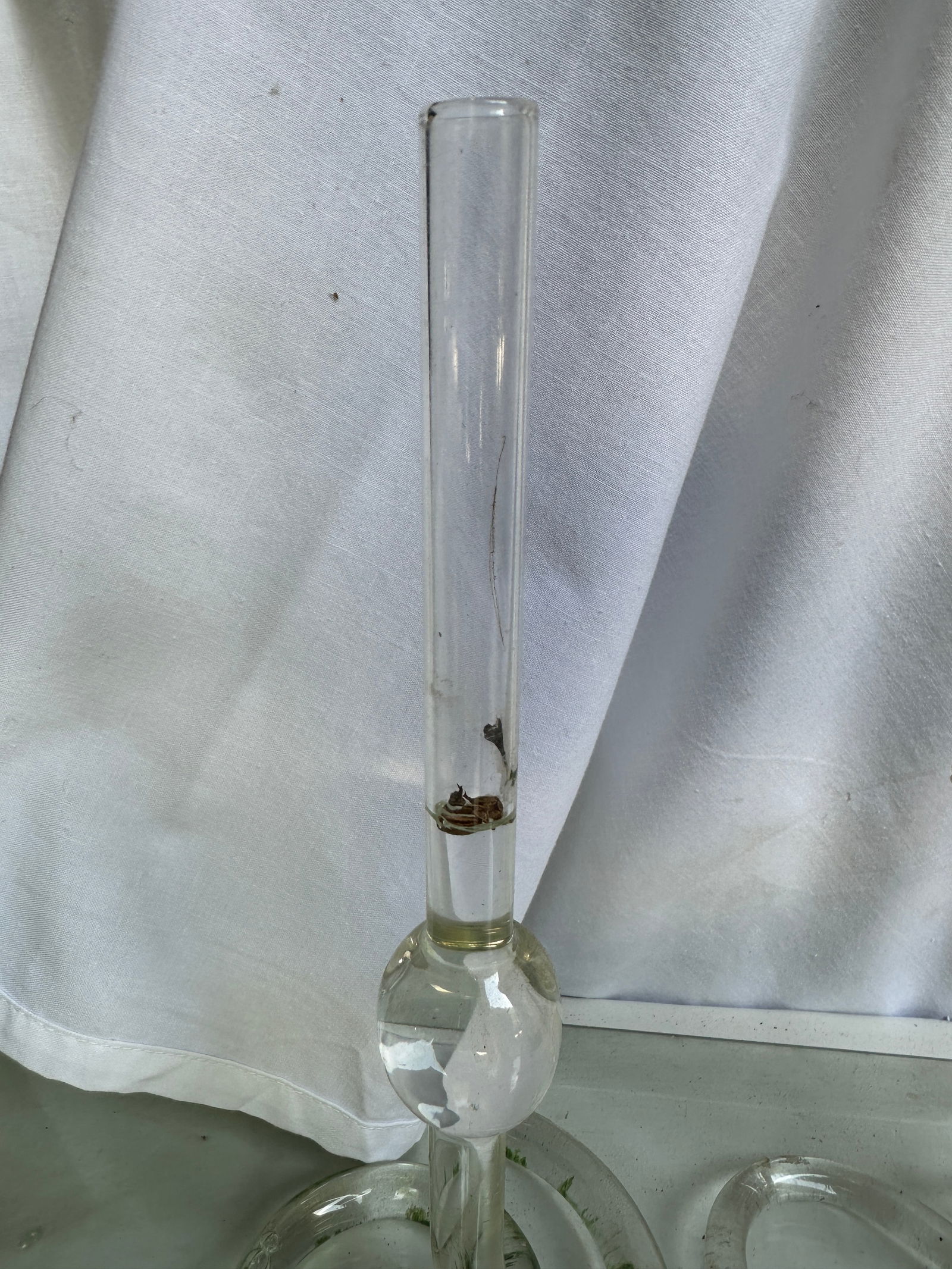 Vintage Propagation Snake Vases – a Pair - 4