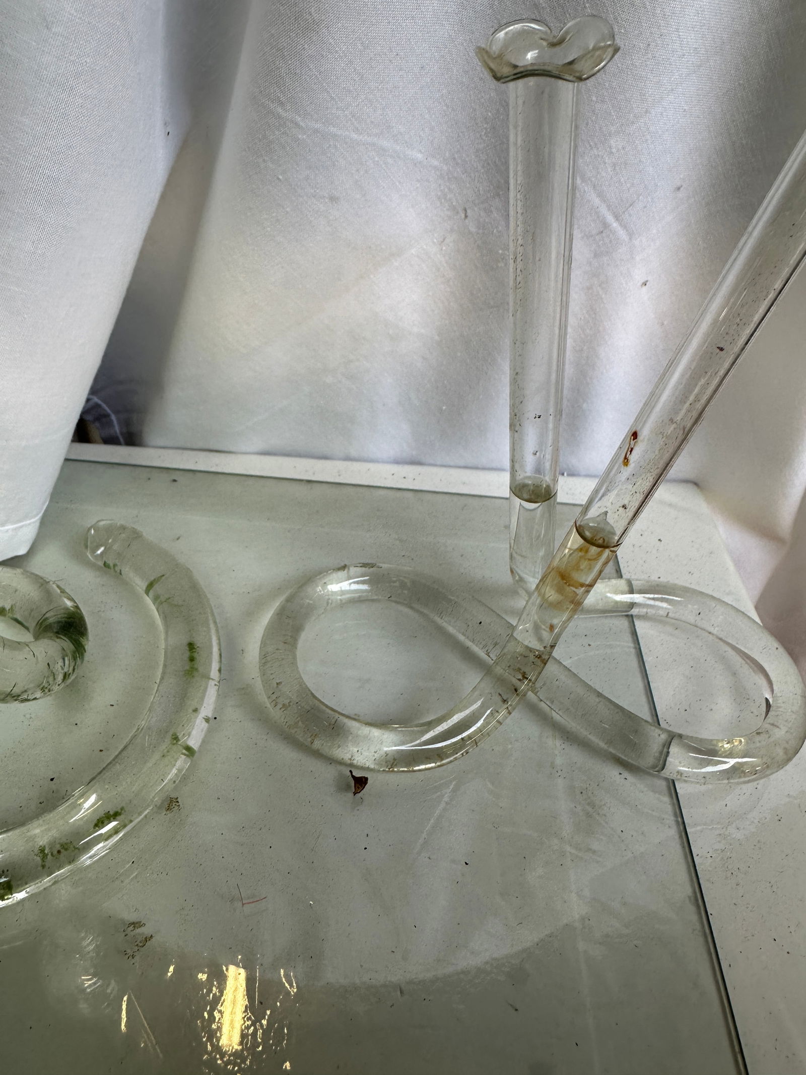 Vintage Propagation Snake Vases – a Pair - 5