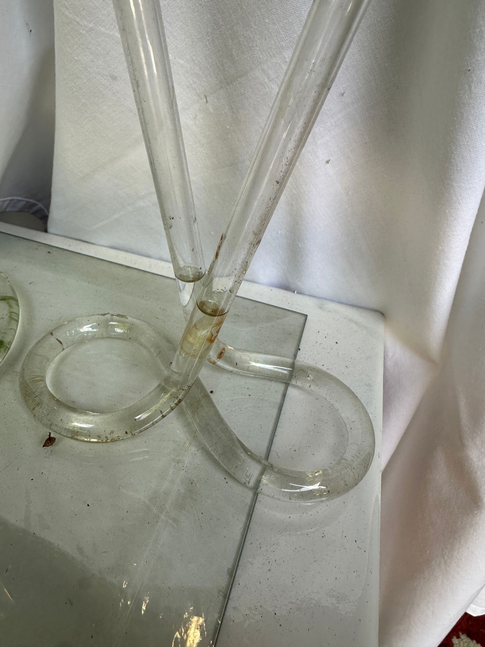 Vintage Propagation Snake Vases – a Pair - 6