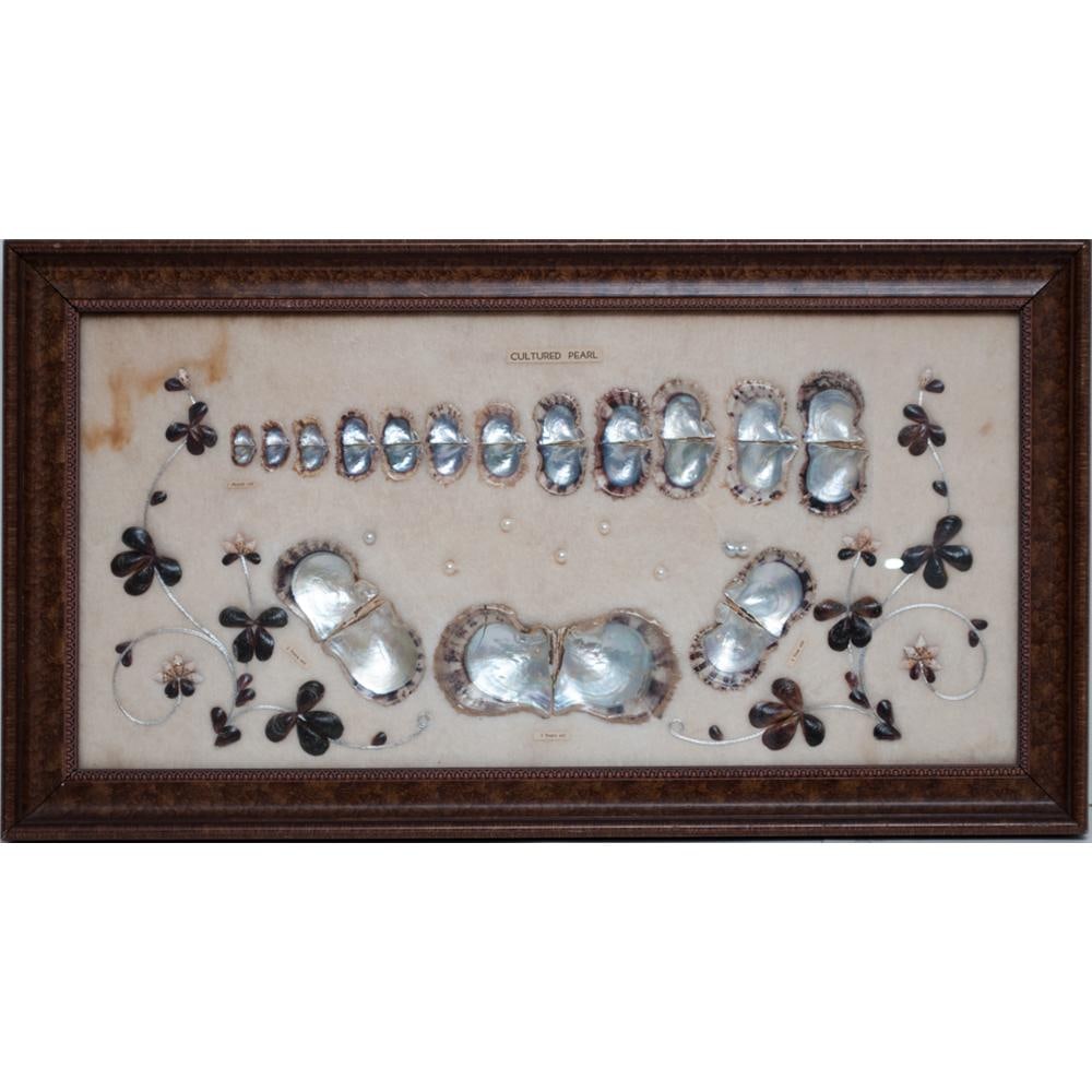 1920 Taisho Era Japanese Akoya Pearls Display for a Jewelry Exhibition in Europe - 2