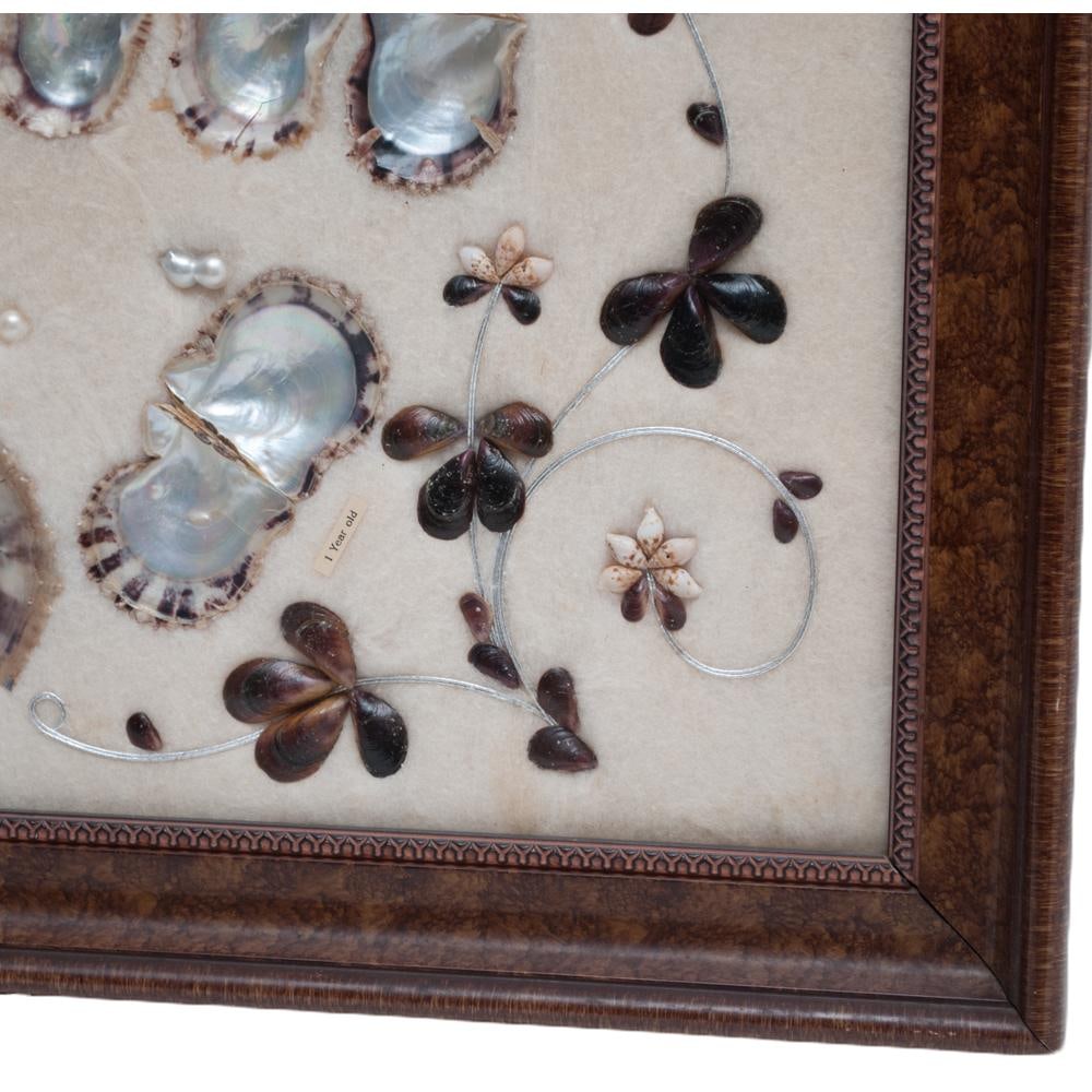 1920 Taisho Era Japanese Akoya Pearls Display for a Jewelry Exhibition in Europe - 6
