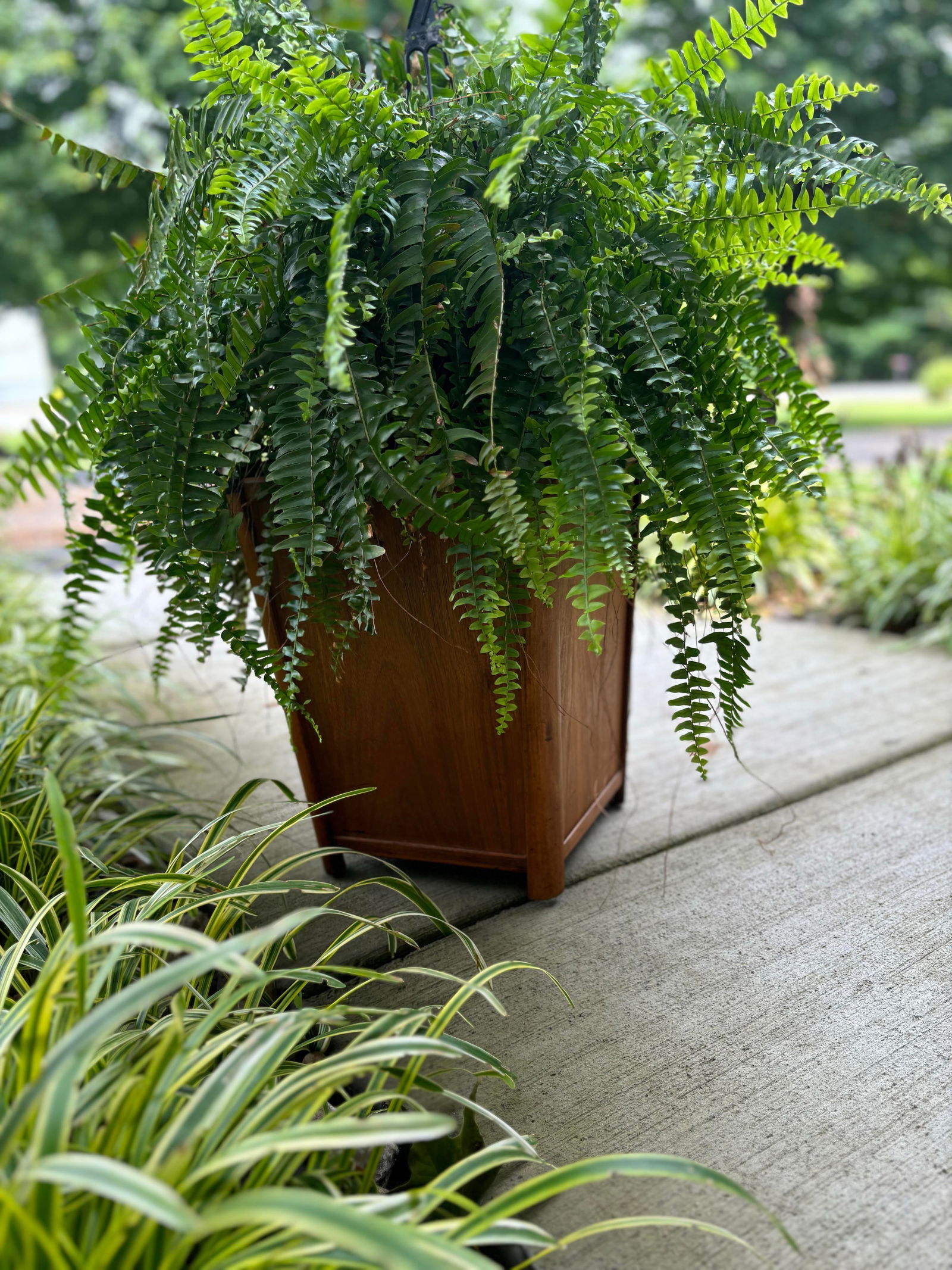 1960s Mid-Century Modern Mid Century Mahogany Wooden Trash Can Planter Pot - Set of 3 - 6