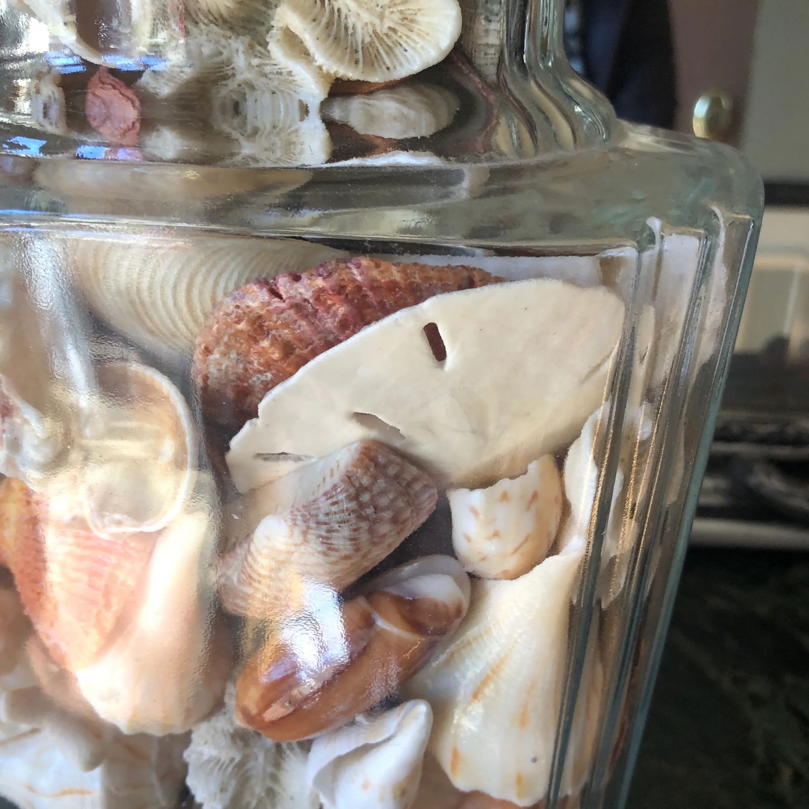 1970s Collected Seashells Nautical Table Lamp - 2