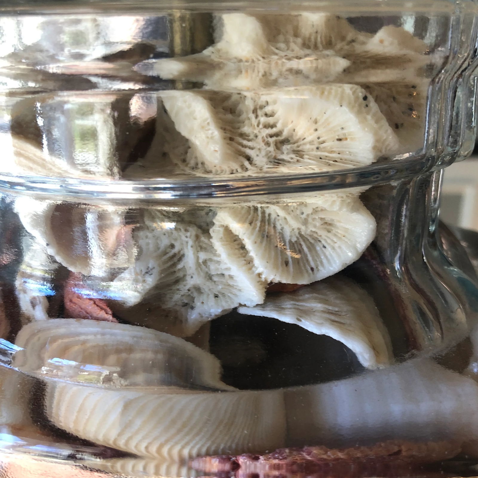 1970s Collected Seashells Nautical Table Lamp - 3