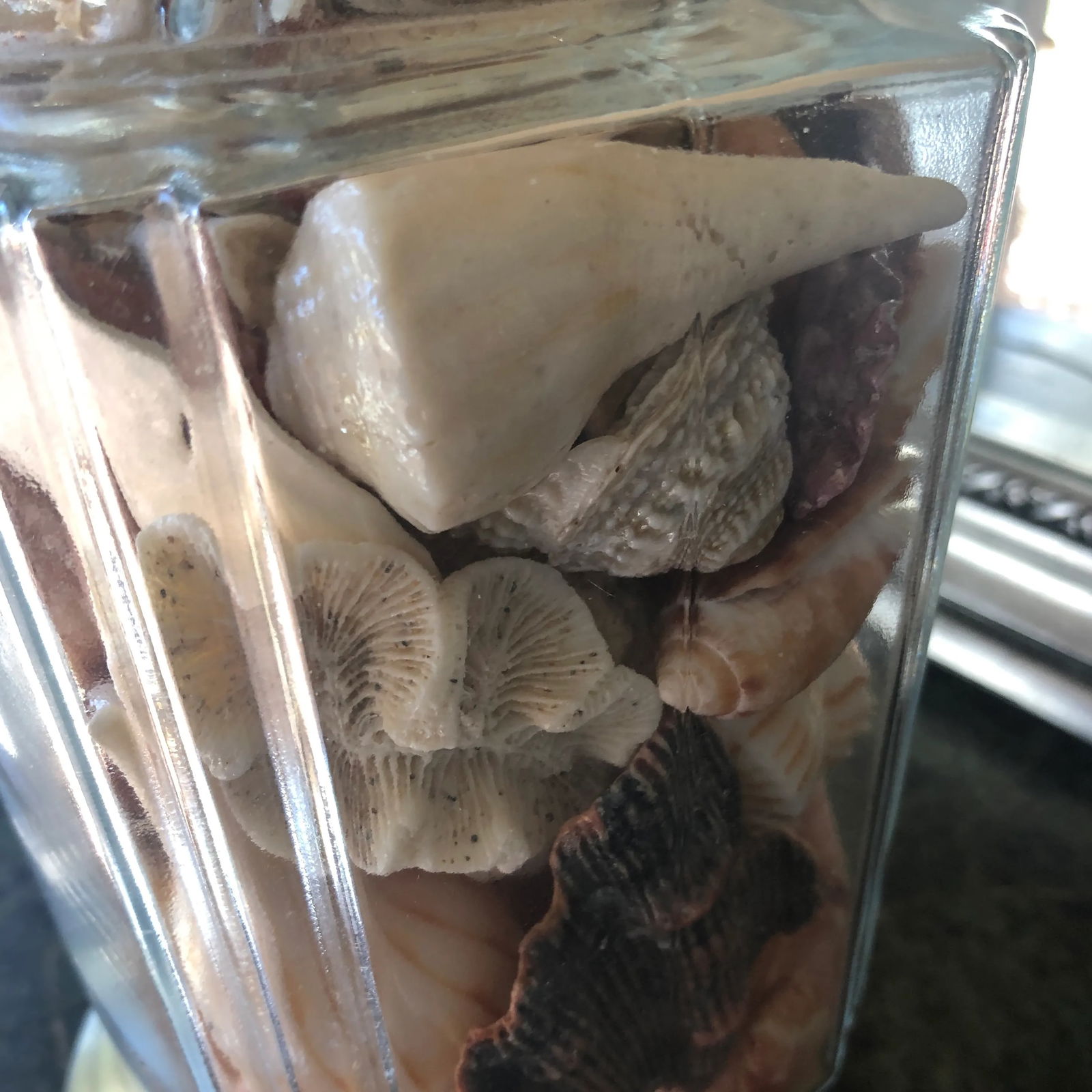 1970s Collected Seashells Nautical Table Lamp - 4