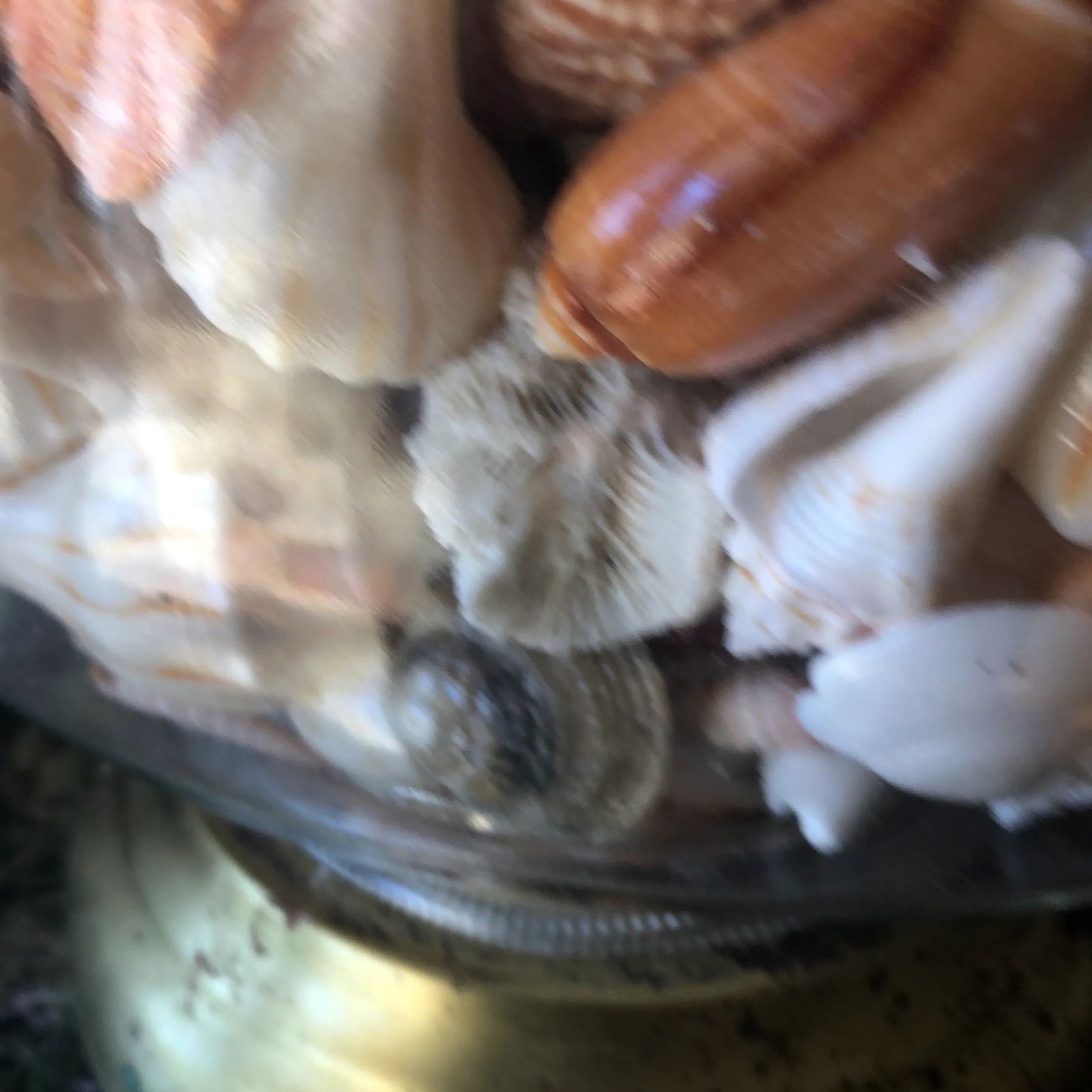 1970s Collected Seashells Nautical Table Lamp - 5