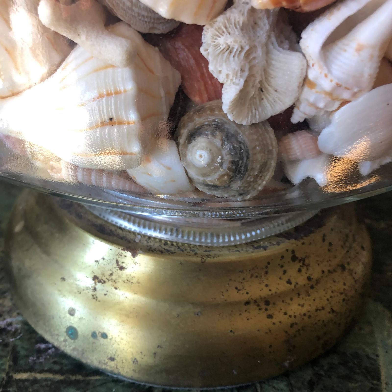 1970s Collected Seashells Nautical Table Lamp - 6