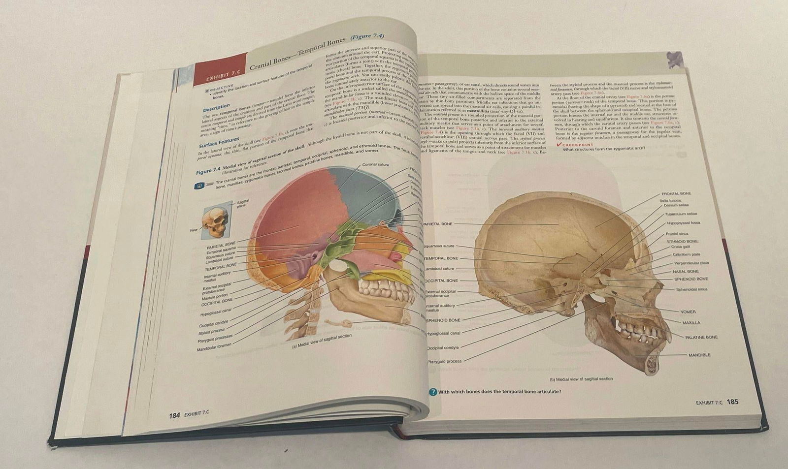 Principles of Human Anatomy by Gerard J. Tortora Mark Nielsen 2012 - 6