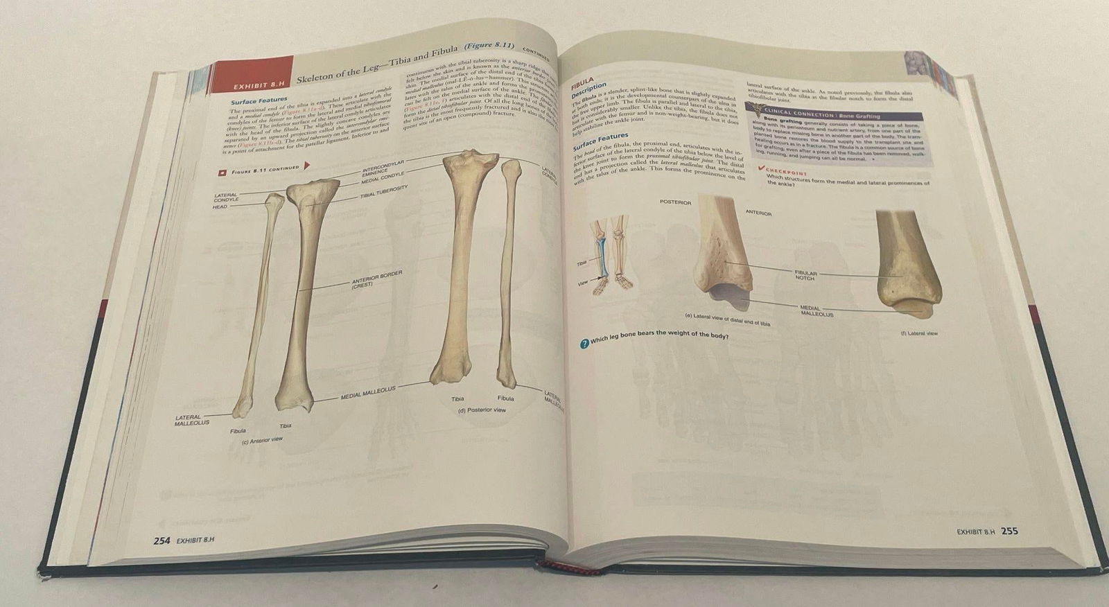 Principles of Human Anatomy by Gerard J. Tortora Mark Nielsen 2012 - 7