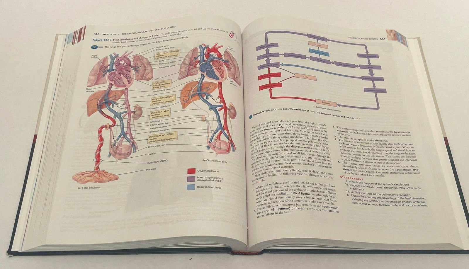 Principles of Human Anatomy by Gerard J. Tortora Mark Nielsen 2012 - 8