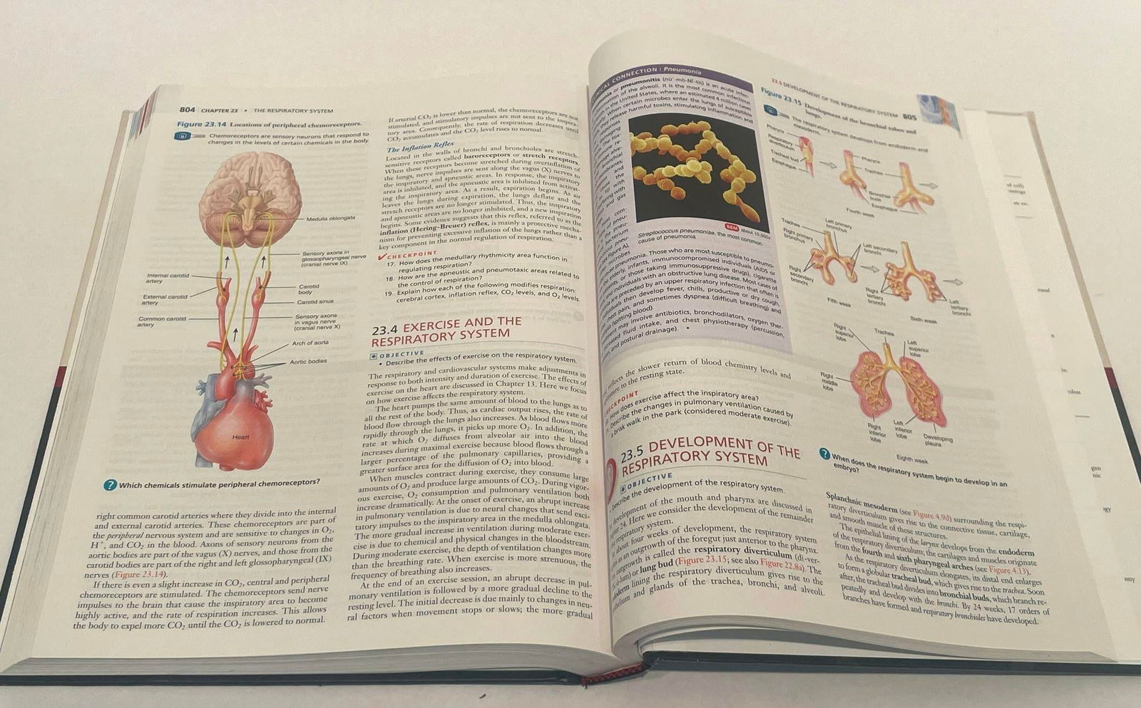 Principles of Human Anatomy by Gerard J. Tortora Mark Nielsen 2012 - 9