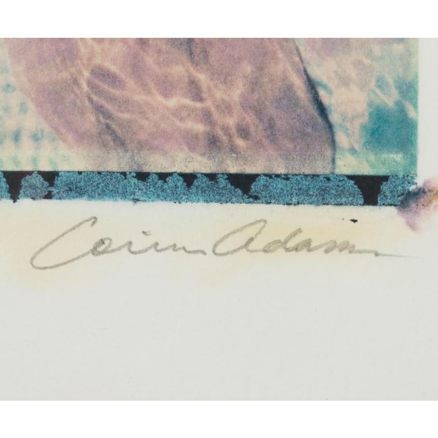 Three Corrine Adams Framed Polaroid Transfers - 4