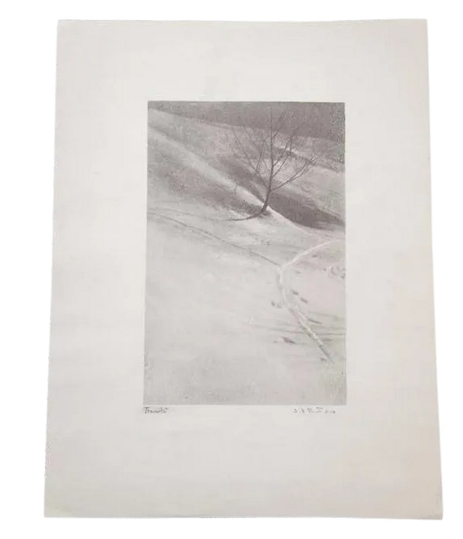 D.R. Peretti Griva Original Bromoil Transfer Tree: Vintage D.R. Peretti Griva photograph bromoil transfer. Wintery solitude with nature - a beautiful testament to simplicity. The tree is reflected by path in the snow, almost like a mirror. Signed by a