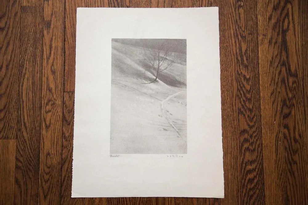 D.R. Peretti Griva Original Bromoil Transfer Tree - 4