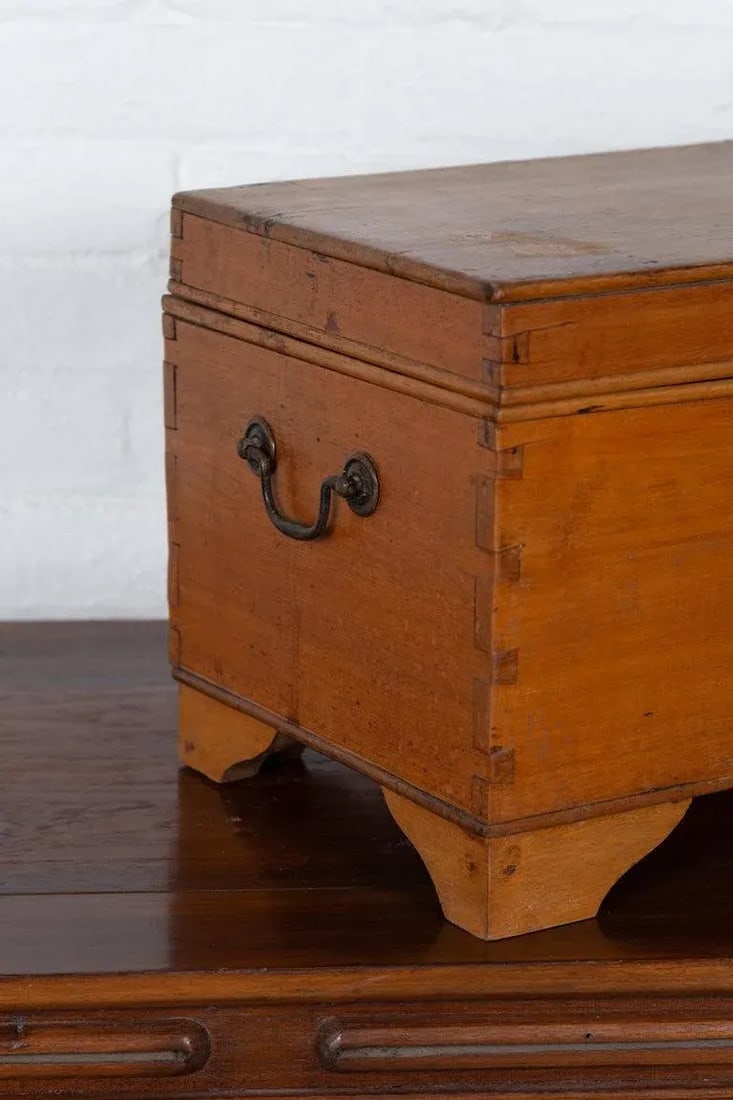 20th Century Asian Wooden Trunk - 12
