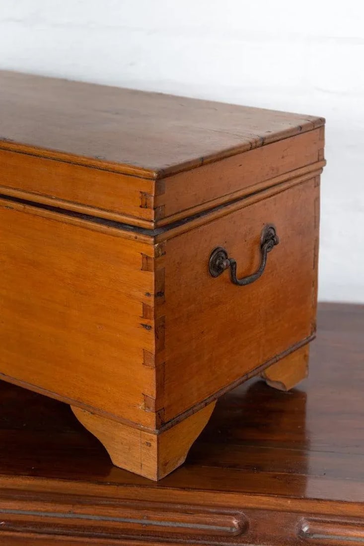 20th Century Asian Wooden Trunk - 2
