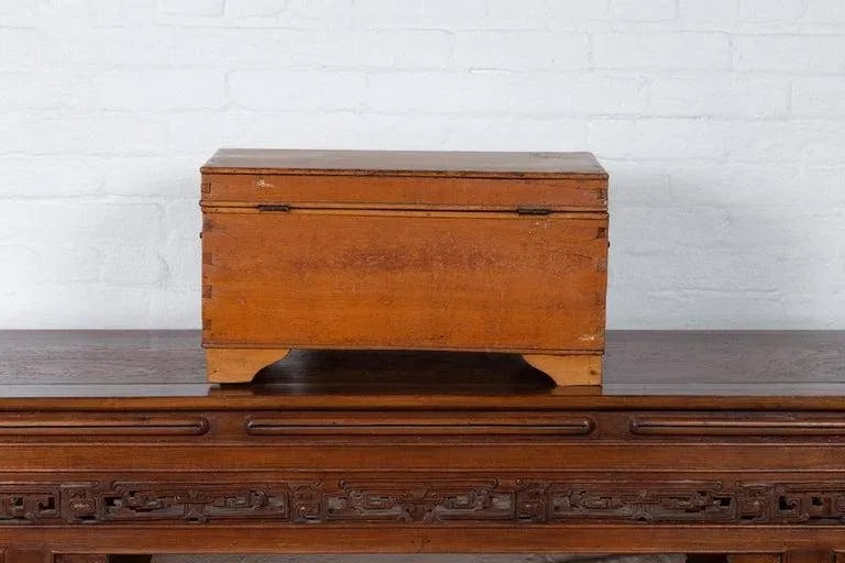 20th Century Asian Wooden Trunk - 3