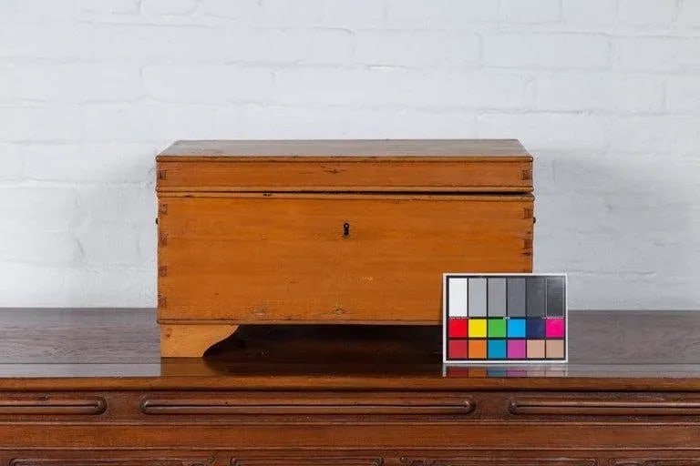 20th Century Asian Wooden Trunk - 4