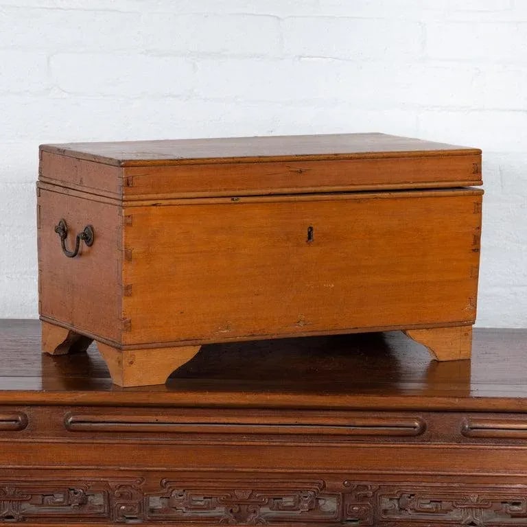 20th Century Asian Wooden Trunk - 5