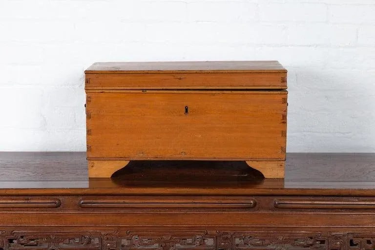 20th Century Asian Wooden Trunk - 6