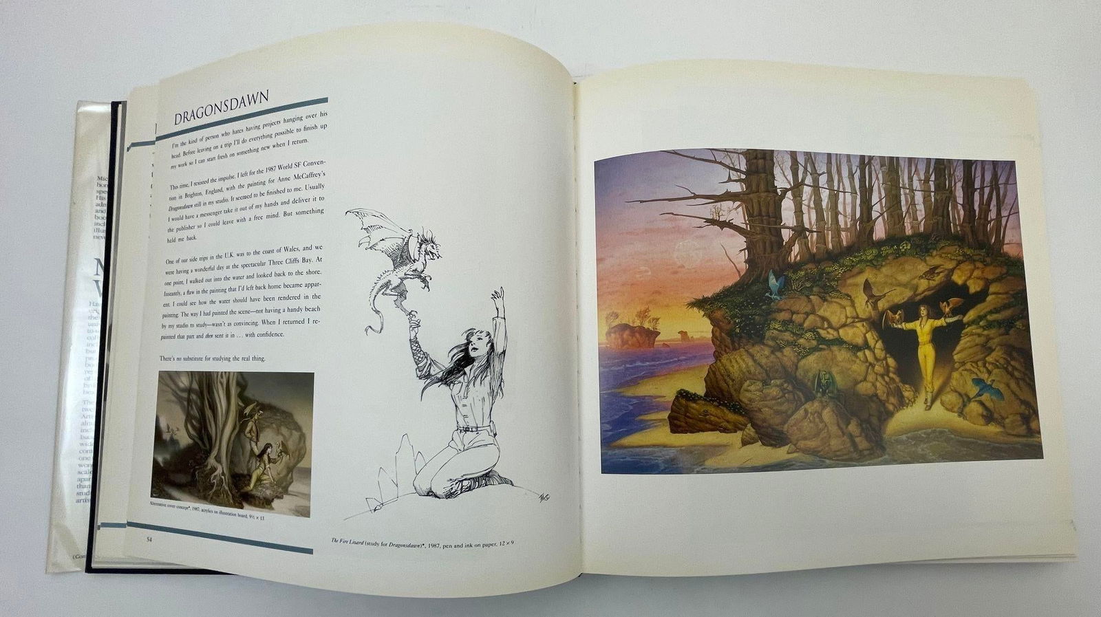 The Art of Michael Whelan Hardcover Book by Michael Whelan 1993 - 8
