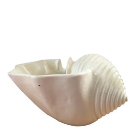 1980s White Shell Planter