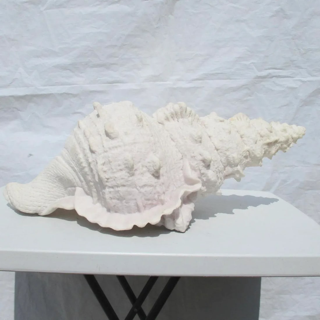 Lamp of Giant Conch Seashell Cast Resin Sculpture - 4