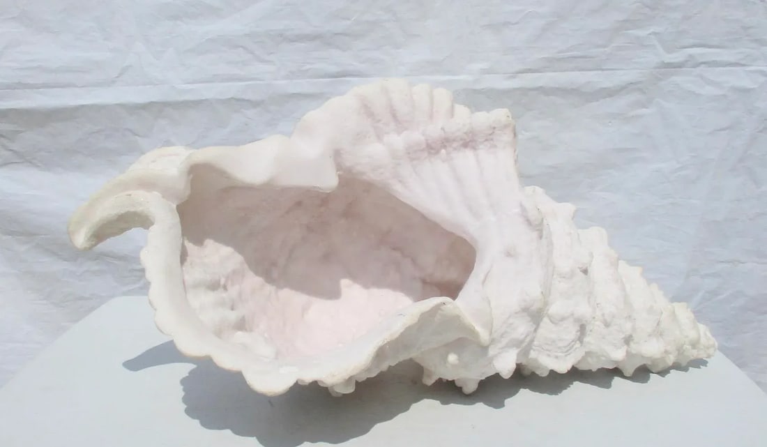 Lamp of Giant Conch Seashell Cast Resin Sculpture - 5