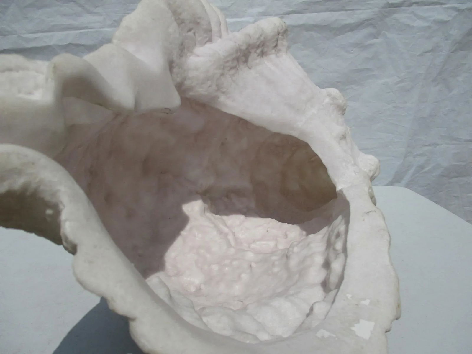 Lamp of Giant Conch Seashell Cast Resin Sculpture - 6