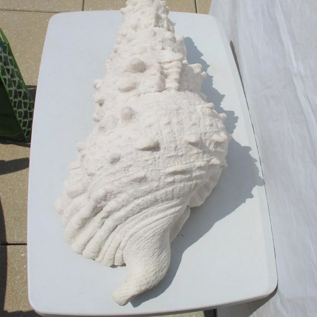 Lamp of Giant Conch Seashell Cast Resin Sculpture - 8