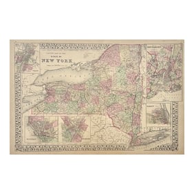 New York, Original Engraving by Samuel Mitchell, 1881