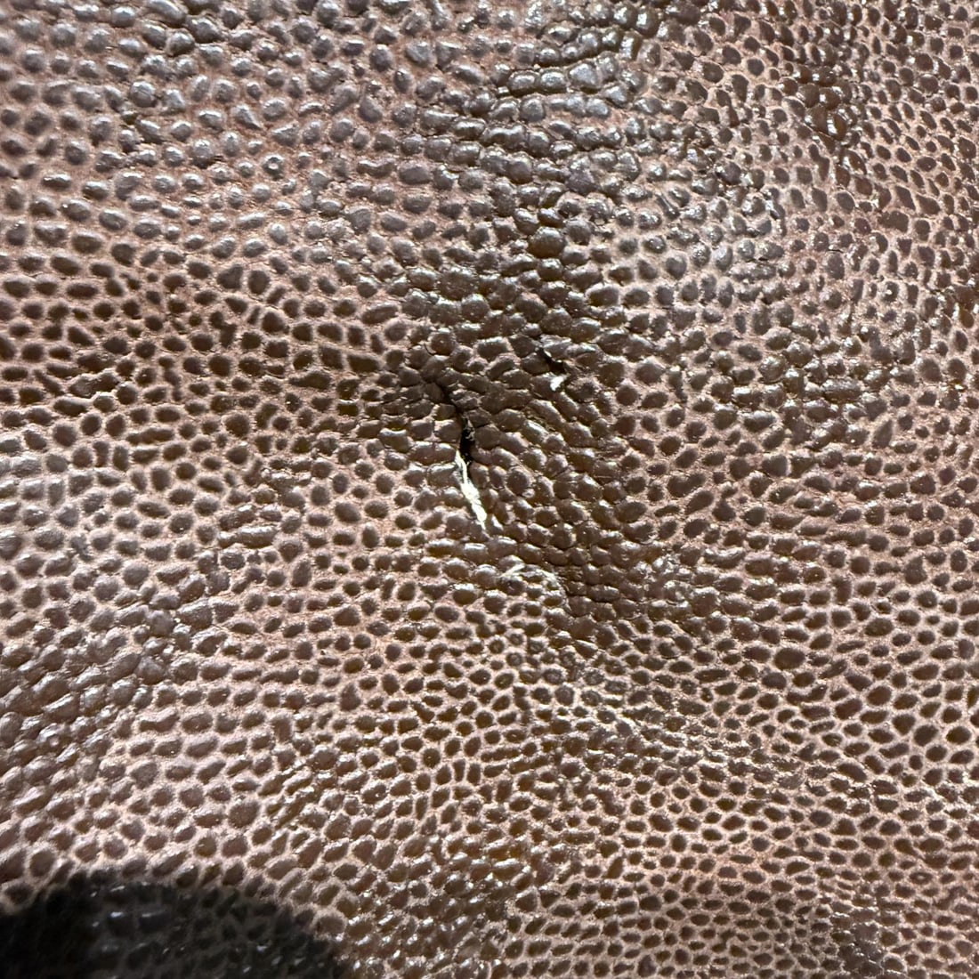 1990s Bric's Italian Leather Canvas Tote Cargo Life Bag - 6