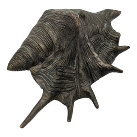 Mid 20th Century Oversized Silver Tone With Patina Conch Shell