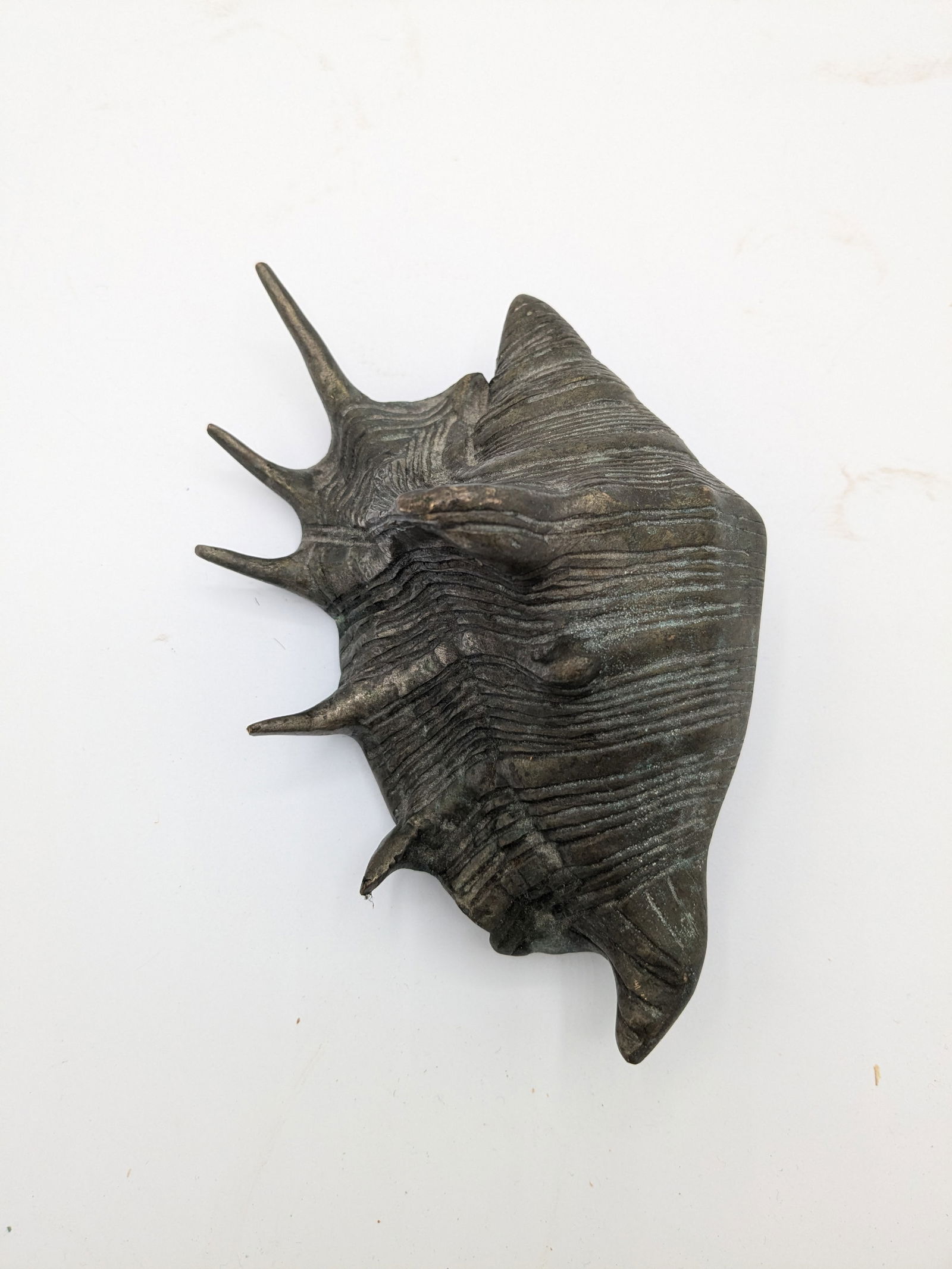 Mid 20th Century Oversized Silver Tone With Patina Conch Shell - 3