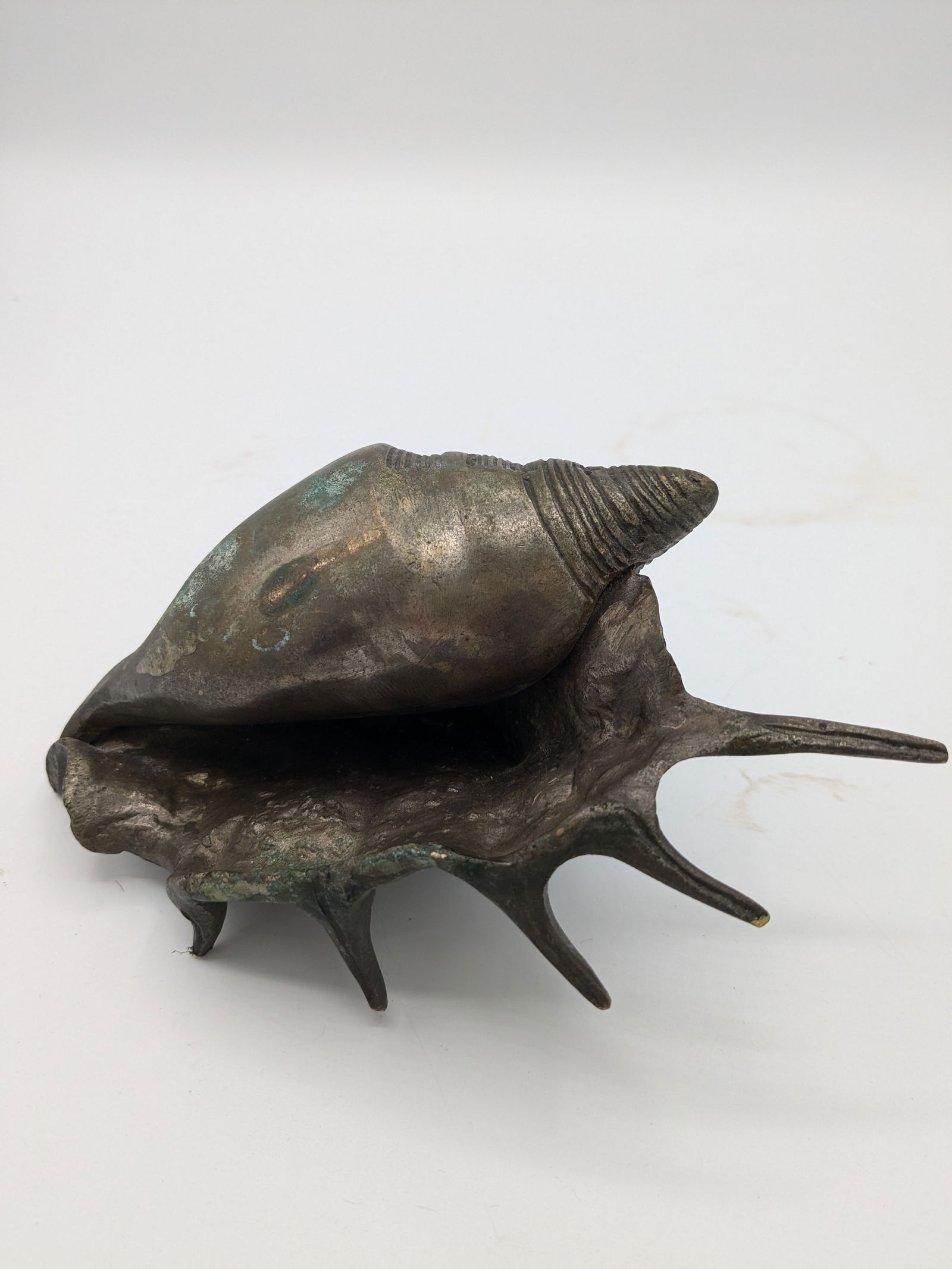 Mid 20th Century Oversized Silver Tone With Patina Conch Shell - 4