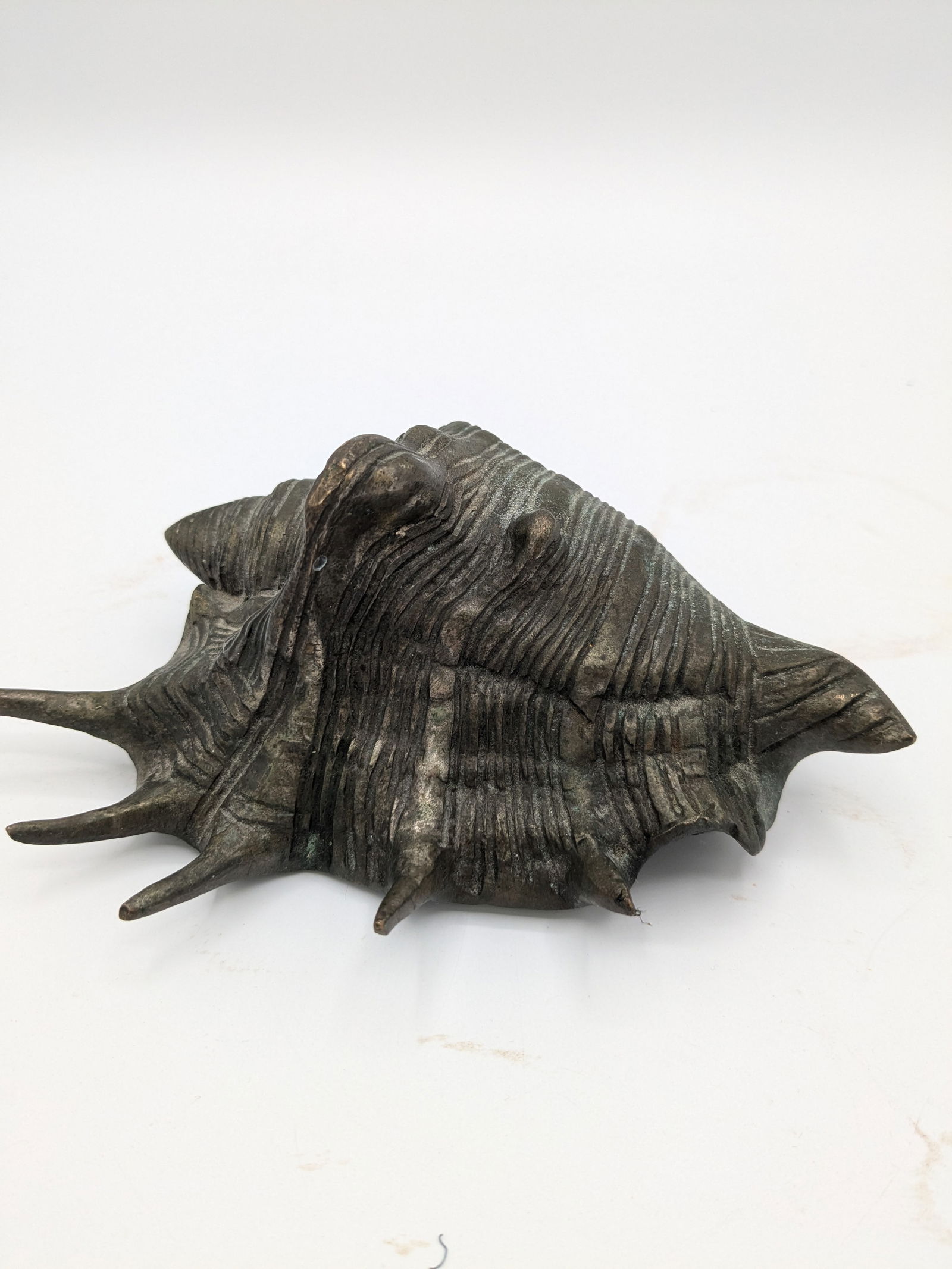 Mid 20th Century Oversized Silver Tone With Patina Conch Shell - 6