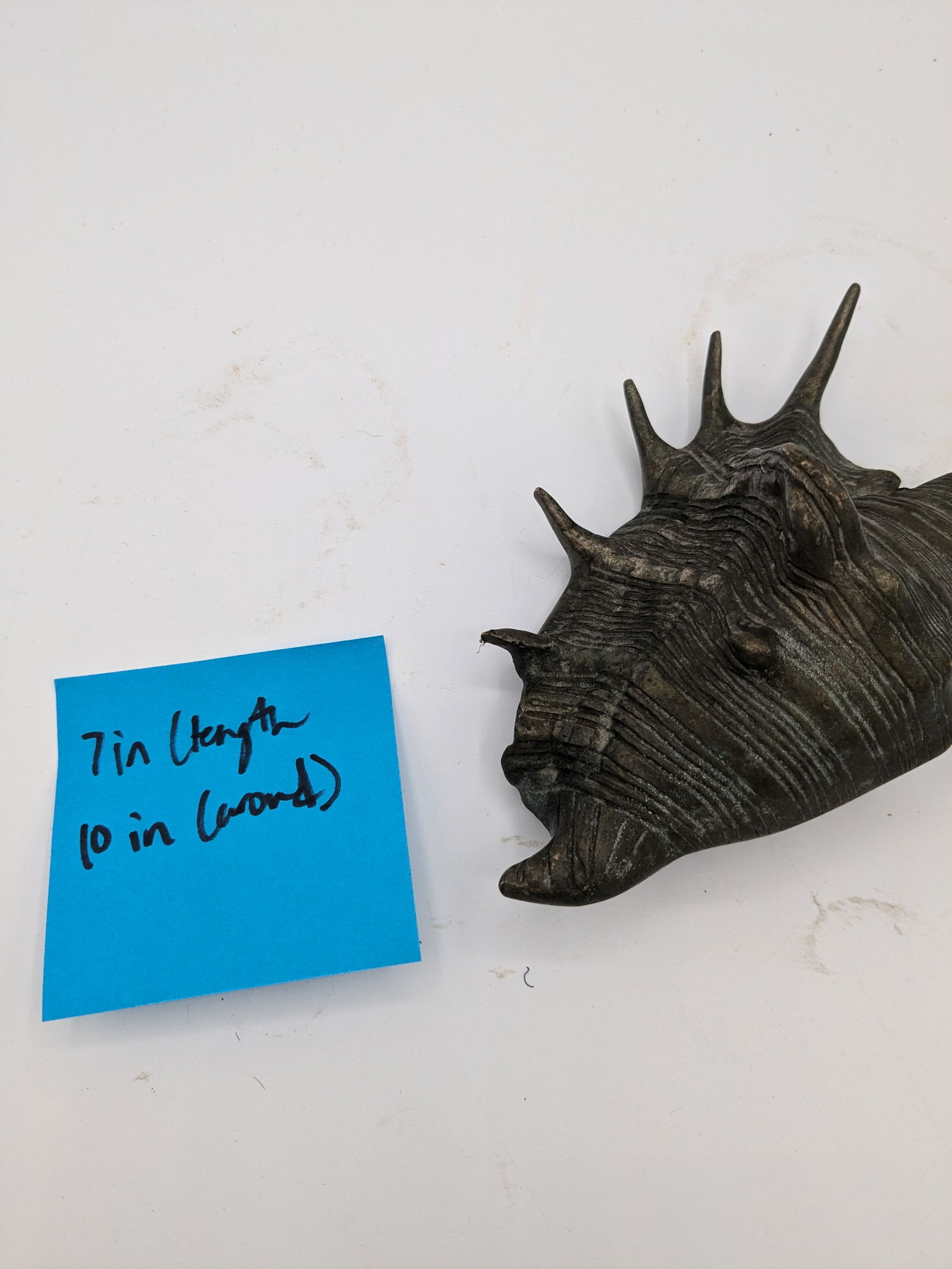 Mid 20th Century Oversized Silver Tone With Patina Conch Shell - 7