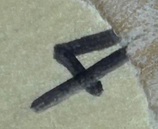 Rustic Raw Rough Wood Grain Rectangle Slim Stool Bench Side Table - 7