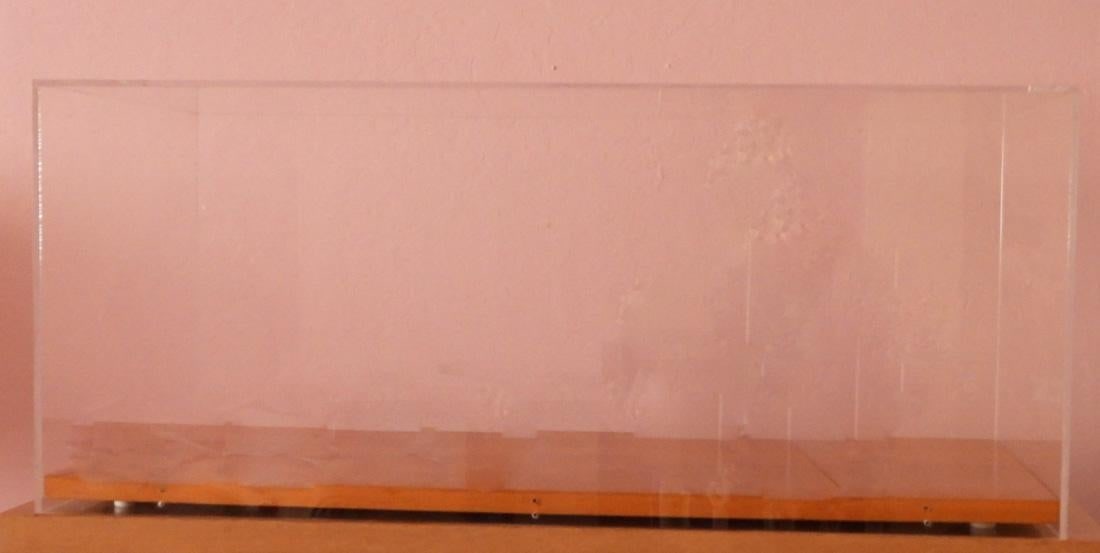 Vintage Plexiglass and Wood Base Display Case 32 Inches X 18 Inches - 8