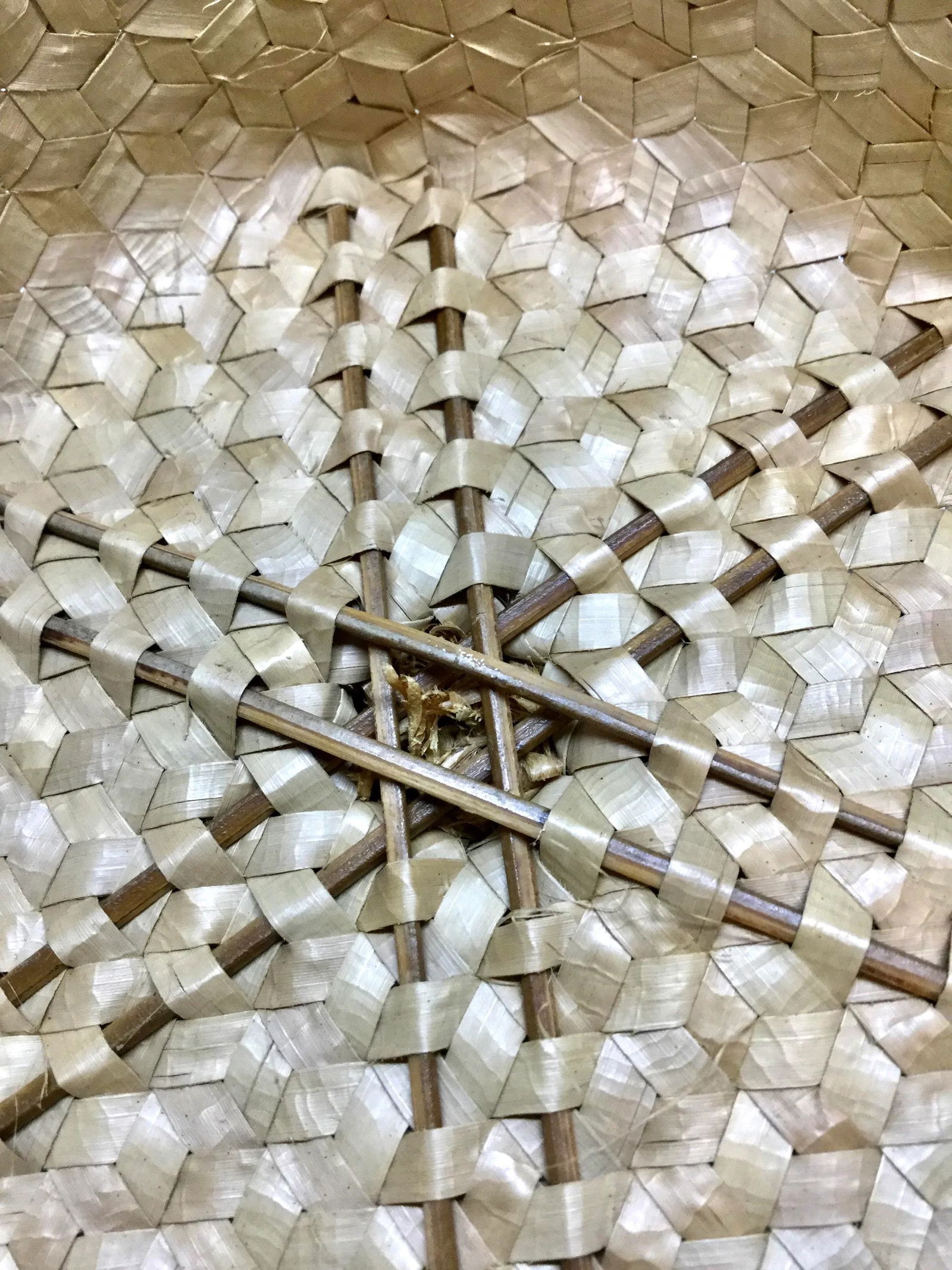 Vintage Covered Lidded Basket Box Circa 1890s - 11