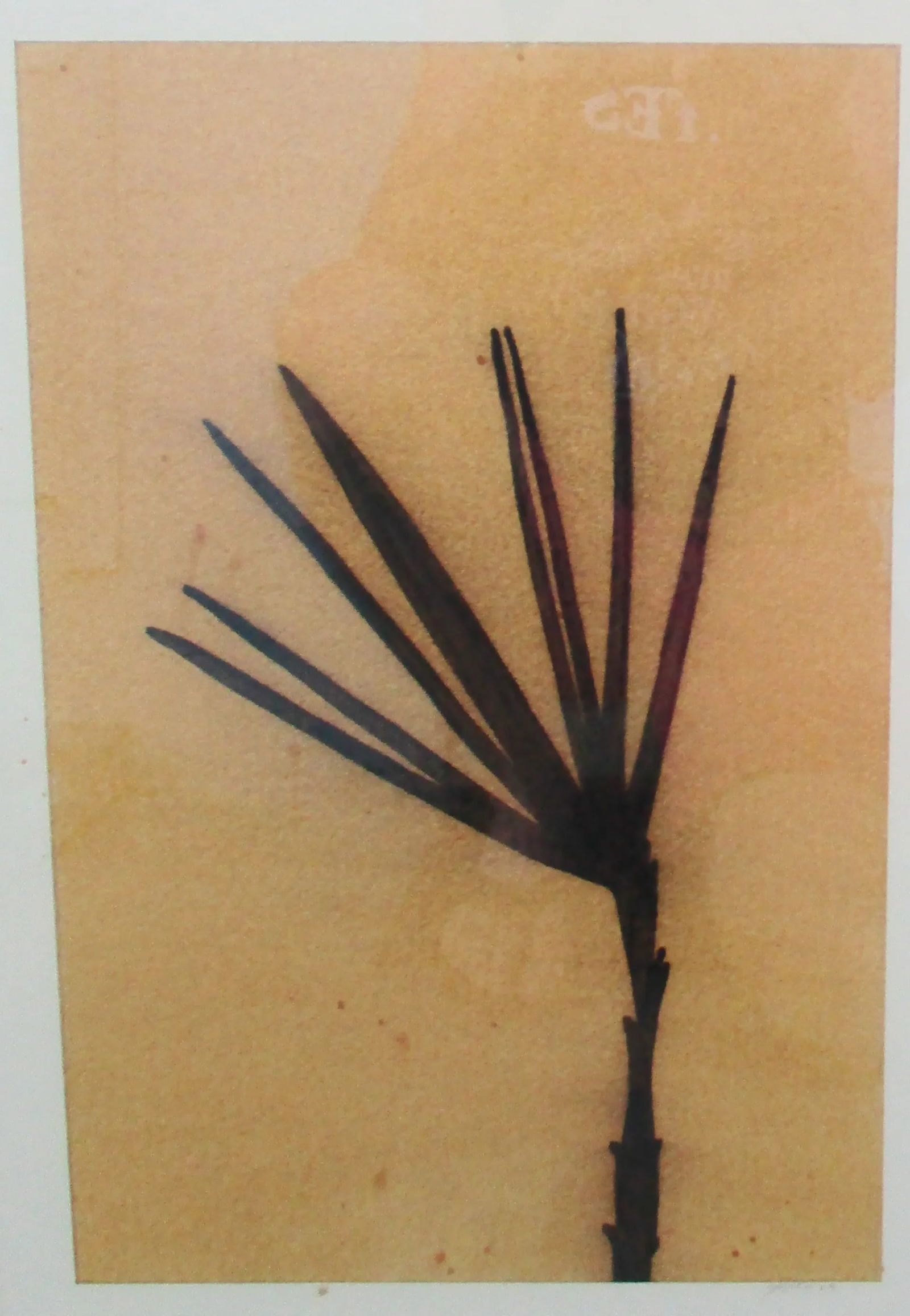 2003 Dan Sayles Leaves Giclee Print Signed Matted and Framed - 2