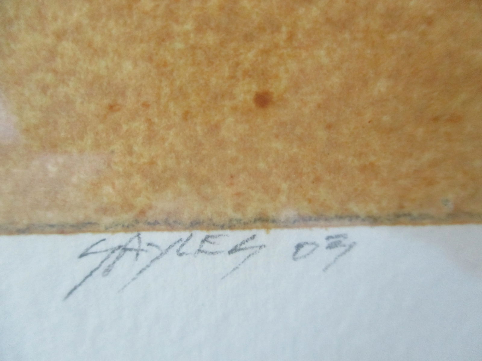 2003 Dan Sayles Leaves Giclee Print Signed Matted and Framed - 3